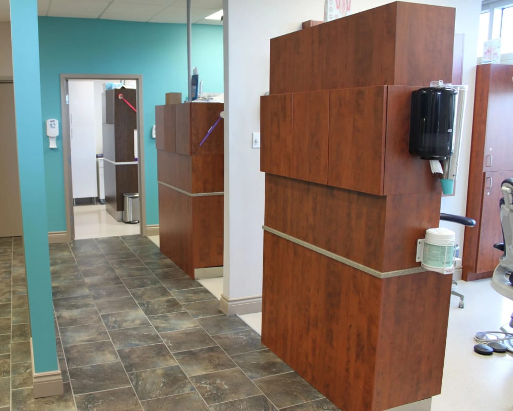 About Lakeside Dental, Halifax Dentist